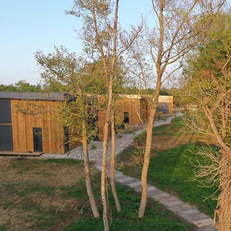 Villa Salinas Nest - Ulcinj Stoj Ada Bojana Exterior foto